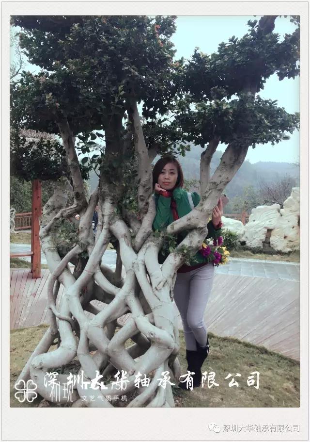 少女心爆棚的楊姐 少女心爆棚的楊姐